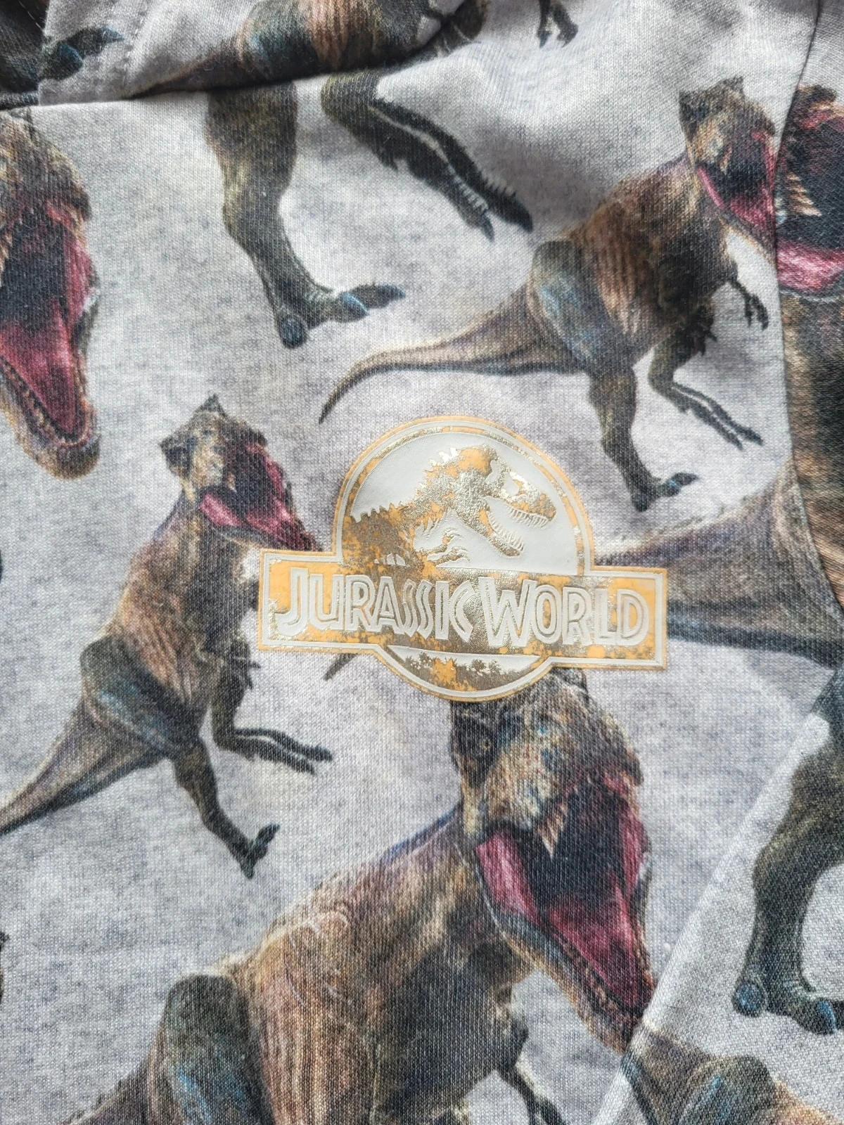 Moletom com Capuz Jurassic World H&M 6-8 Anos 122/128 Dinossauros – photo 2